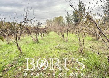 Foto 9 - Terreno edificabile Via Largo Starza, San Marcellino - foto 9