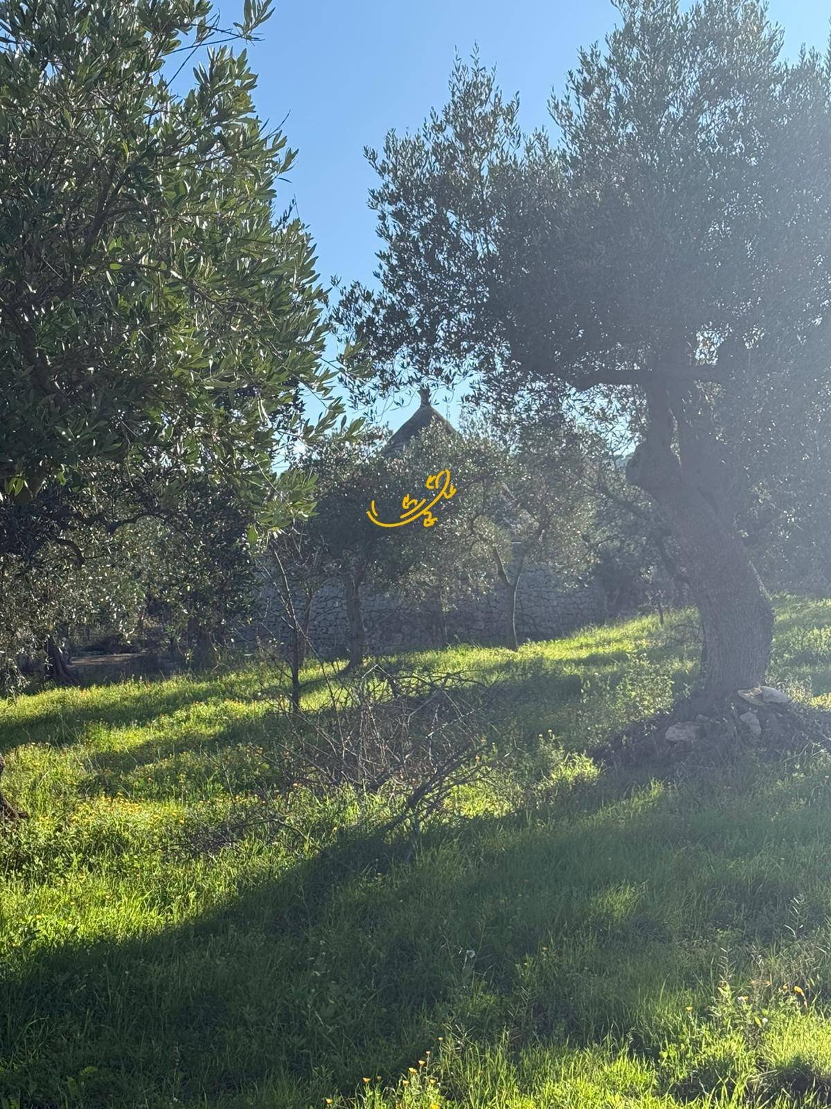 Foto 3 - Baita Strada Comunale Monte Della Vecchia, Polignano a Mare - foto 3