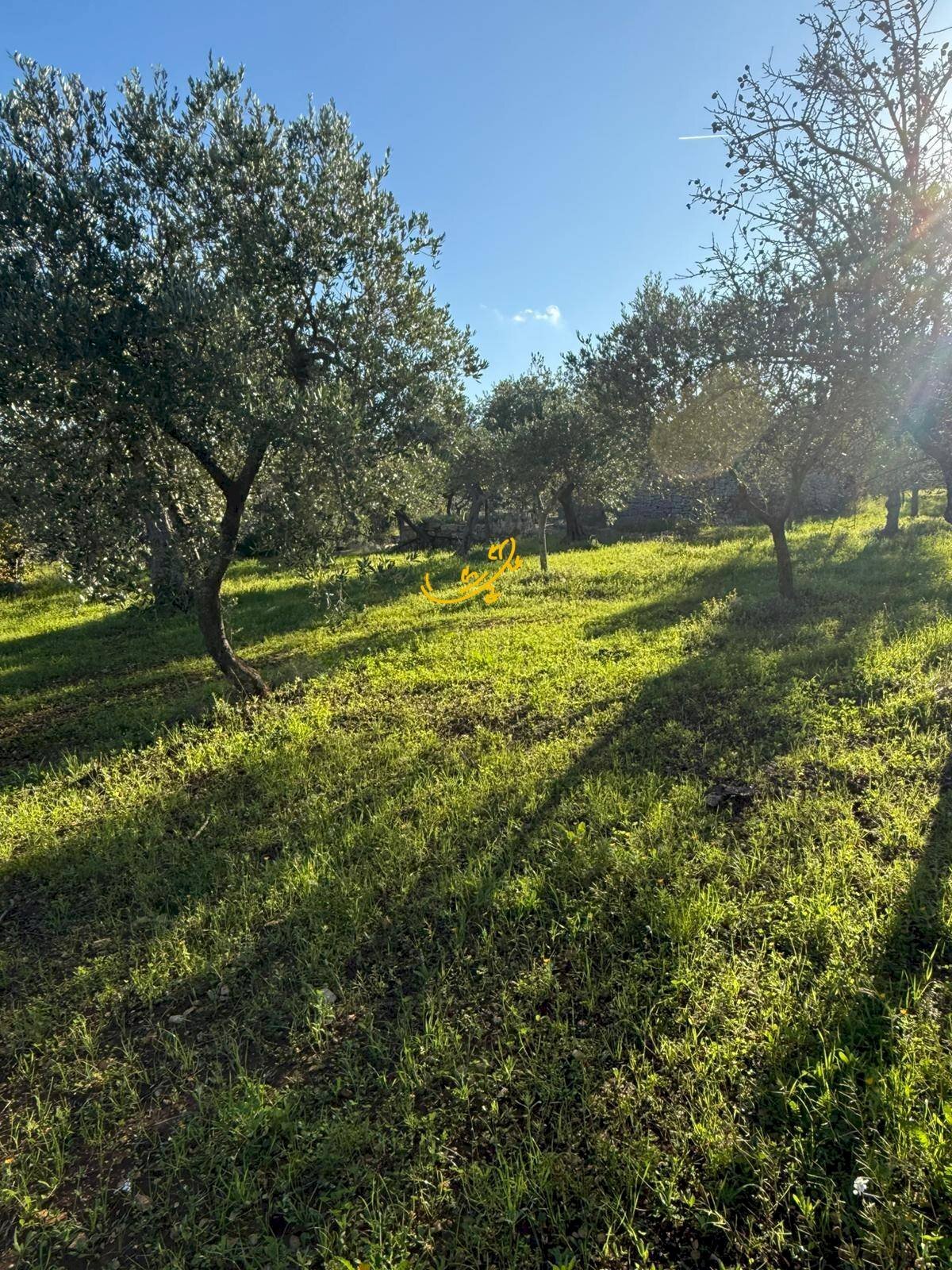 Foto 2 - Baita Strada Comunale Monte Della Vecchia, Polignano a Mare - foto 2
