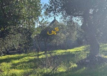 Foto 3 - Baita Strada Comunale Monte Della Vecchia, Polignano a Mare - photo 3