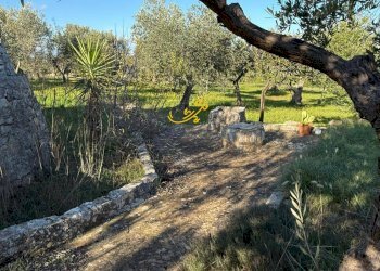 Foto 5 - Baita Strada Comunale Monte Della Vecchia, Polignano a Mare - photo 5