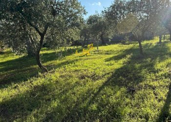 Foto 2 - Baita Strada Comunale Monte Della Vecchia, Polignano a Mare - photo 2