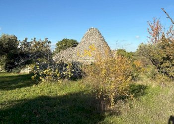 Foto 8 - Baita Strada Comunale Monte Della Vecchia, Polignano a Mare - photo 8