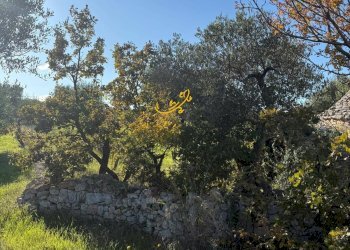 Foto 12 - Baita Strada Comunale Monte Della Vecchia, Polignano a Mare - photo 12