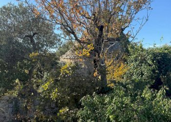 Foto 13 - Baita Strada Comunale Monte Della Vecchia, Polignano a Mare - photo 13