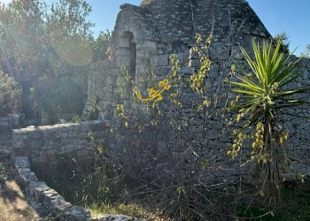 Foto 14 - Baita Strada Comunale Monte Della Vecchia, Polignano a Mare - photo 14