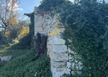 Foto 15 - Baita Strada Comunale Monte Della Vecchia, Polignano a Mare - photo 15