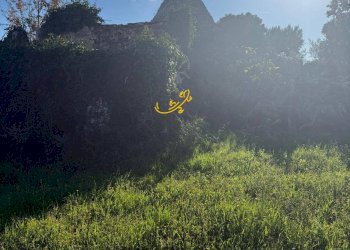 Foto 16 - Baita Strada Comunale Monte Della Vecchia, Polignano a Mare - photo 16