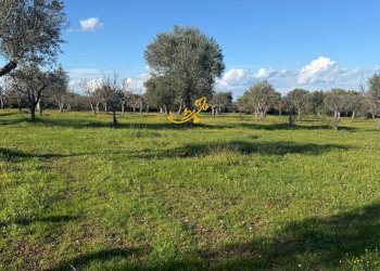 Foto 18 - Baita Strada Comunale Monte Della Vecchia, Polignano a Mare - photo 18