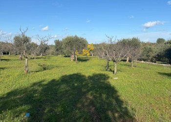Foto 19 - Baita Strada Comunale Monte Della Vecchia, Polignano a Mare - photo 19