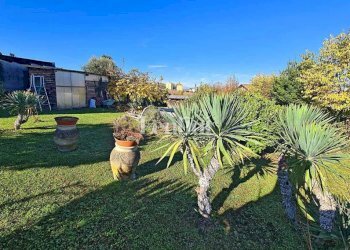 Giardino - Villa via Fratelli Sosso, Casale Monferrato - foto 48