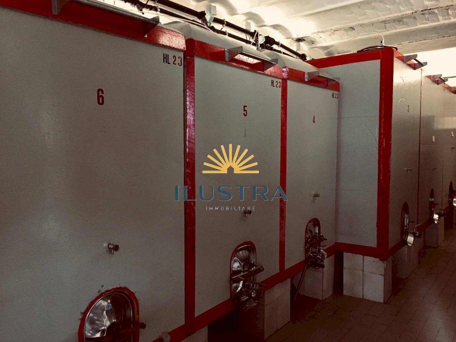 Foto 3 - Azienda agricola 104, Offida - foto 3