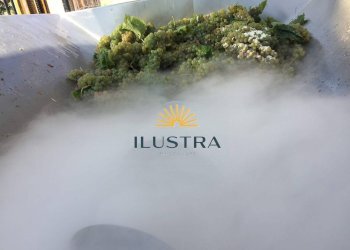 Foto 2 - Azienda agricola 104, Offida - foto 2