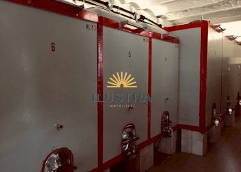 Foto 3 - Azienda agricola 104, Offida - foto 3