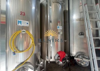 Foto 4 - Azienda agricola 104, Offida - foto 4