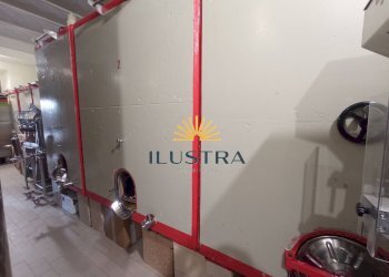 Foto 5 - Azienda agricola 104, Offida - foto 5