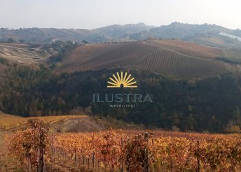 Foto 12 - Azienda agricola 104, Offida - foto 12