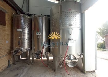 Foto 7 - Azienda agricola 104, Offida - foto 7