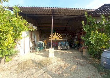 Foto 15 - Azienda agricola 104, Offida - foto 15