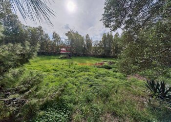 Foto 22 - Villa Via dei canalotti, Santa Croce Camerina - foto 22