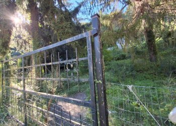 Terreno - Negozio via Angelo Pelissa, 2D, Serra Riccò - foto 11