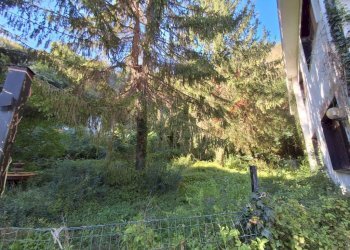 Giardino - Negozio via Angelo Pelissa, 2D, Serra Riccò - foto 14