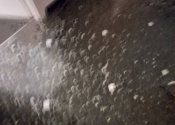 Magazzino - Bilocale via Pierino Negrotto Cambiaso, 5, Genova (zona Sampierdarena) - foto 8