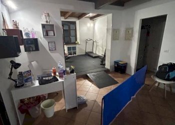 Salone - Shop via San Savino, 1, Bologna (neighborhood Lame) - photo 4