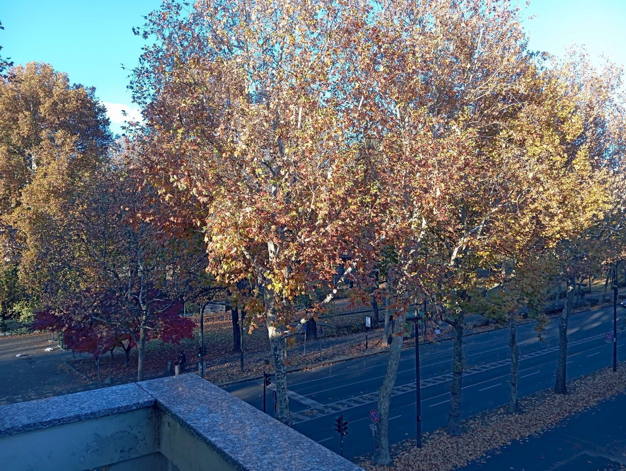 vista sul corso  - Three-room apartment corso Casale, 52, Torino (neighborhood Borgo Po) - photo 1