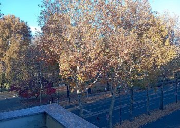 vista sul corso  - Three-room apartment corso Casale, 52, Torino (neighborhood Borgo Po) - photo 1