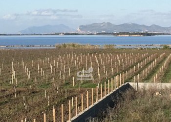 Villa Marsala - foto 12