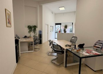 Negozio Verona (zona Borgo Trento) - foto 12