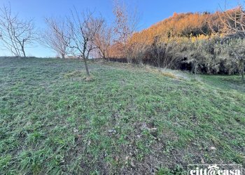 Farmhouse Cavagnolo - photo 24