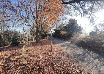 Villa REGIONE MILLEFIORI, Villafranca d'Asti - foto 45