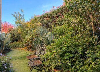 Trilocale Via Vecchia Per Saronno, Solaro - foto 34