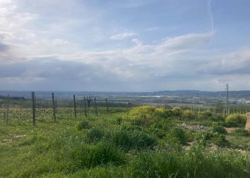 Terreno edificabile Località San Cassiano, 56, Alba - foto 3
