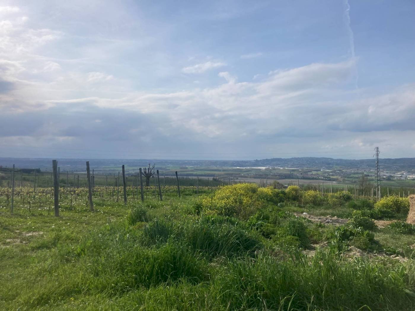 Terreno edificabile Piazza centrale, Verduno - foto 3