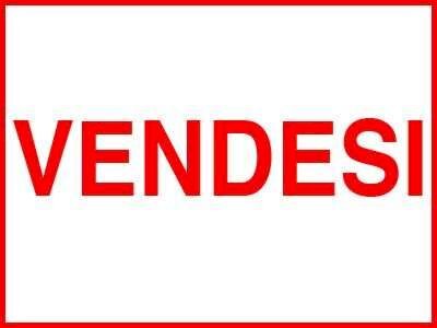 Negozio Soliera - foto 2