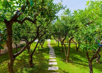 Foto 52 - Villa Via Napoli, Bari - foto 52