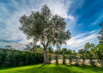 Foto 58 - Villa Via Napoli, Bari - foto 58