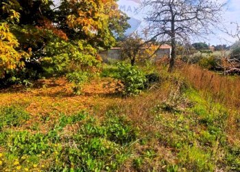 Giardino - Rustico via dott. Giuffrida
 
66, Ragalna - foto 16