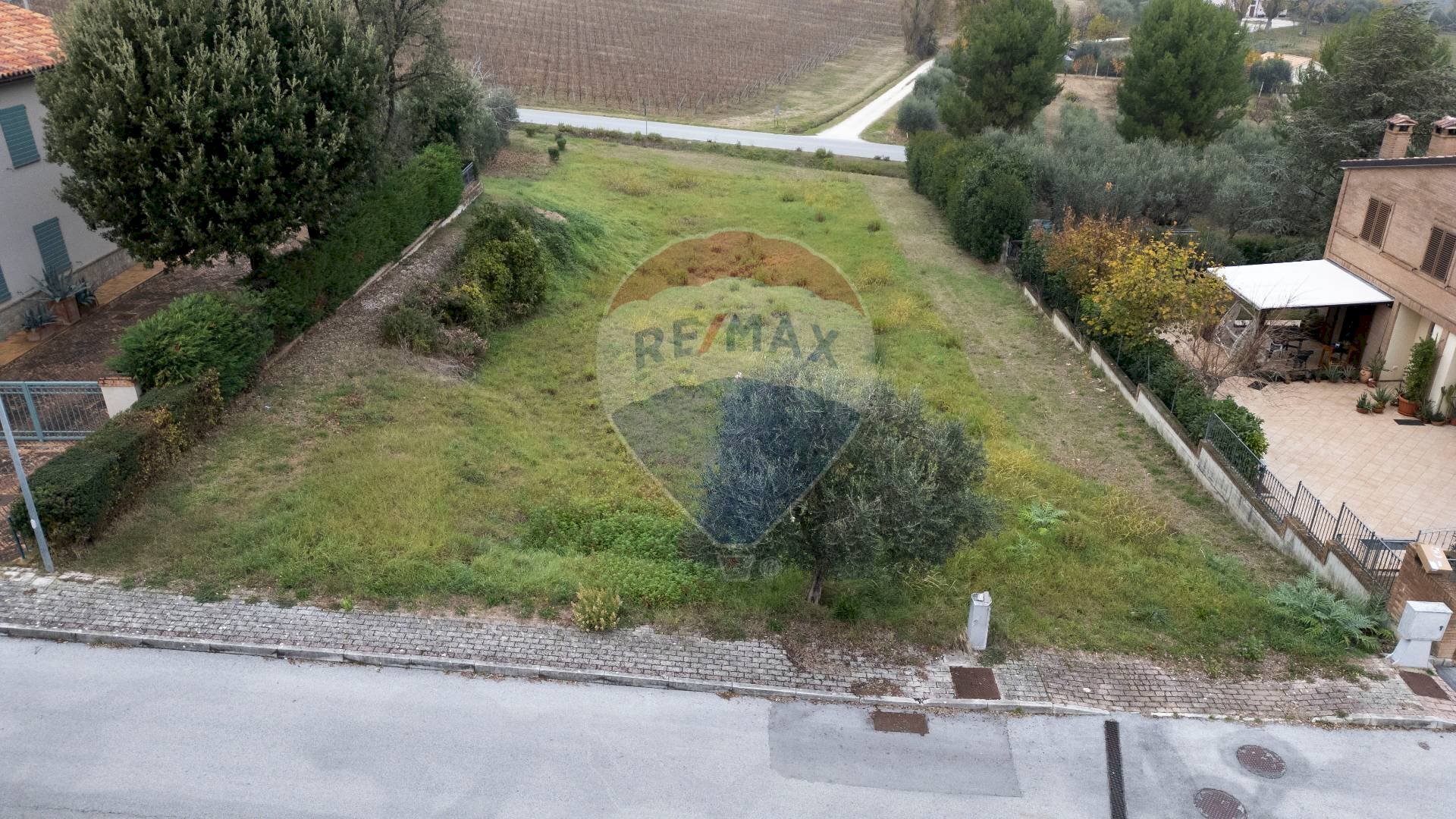 Giardino - Terreno edificabile VIA DEGLI ULIVI
19, Cupramontana - foto 3
