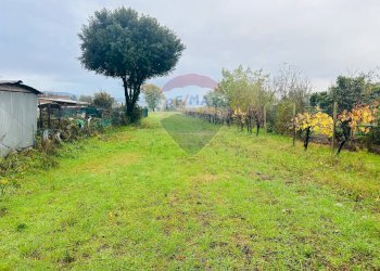 Giardino - Casa semi indipendente Via 8 Marzo
 
8, Fratta Todina - foto 6