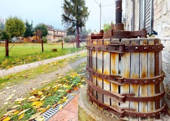 Giardino - Casa semi indipendente Via 8 Marzo
 
8, Fratta Todina - foto 22