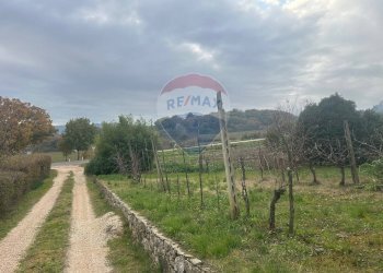 Giardino - Casa semi indipendente via gente vibia
 
27, Monte Castello di Vibio - foto 3