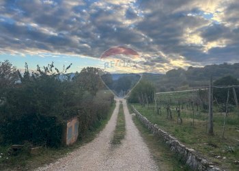 Vista delle montagne - Casa semi indipendente via gente vibia
 
27, Monte Castello di Vibio - foto 4
