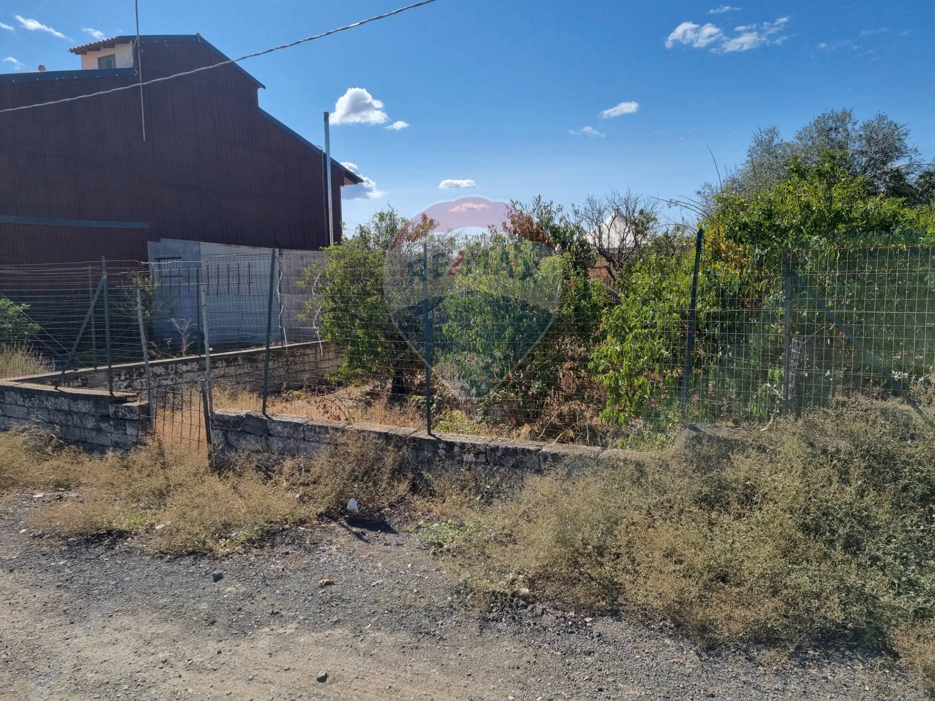 Giardino - Terreno edificabile c.da archi barona, Scordia - foto 2