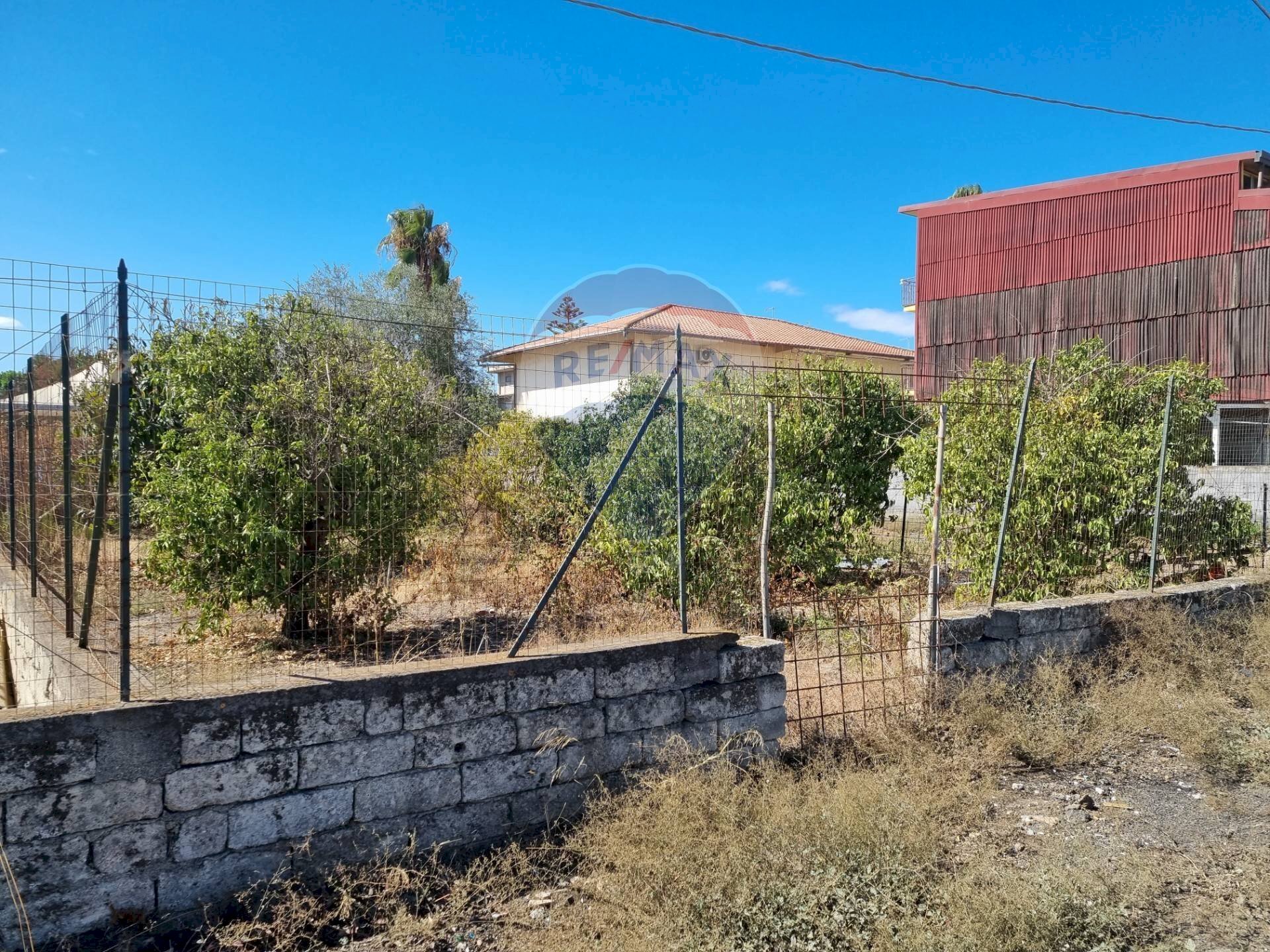 Giardino - Terreno edificabile c.da archi barona, Scordia - foto 3