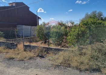 Giardino - Terreno edificabile c.da archi barona, Scordia - foto 5