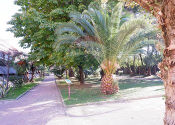 Verde condominiale - Quadrilocale Caserta - foto 30